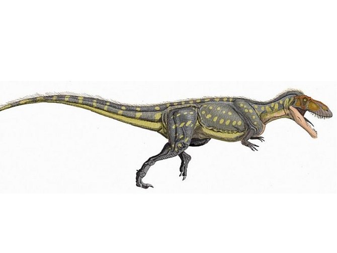 Deset metrů dlouhý Torvosaurus gurneyi byl podle vědců postrachem jurského období.