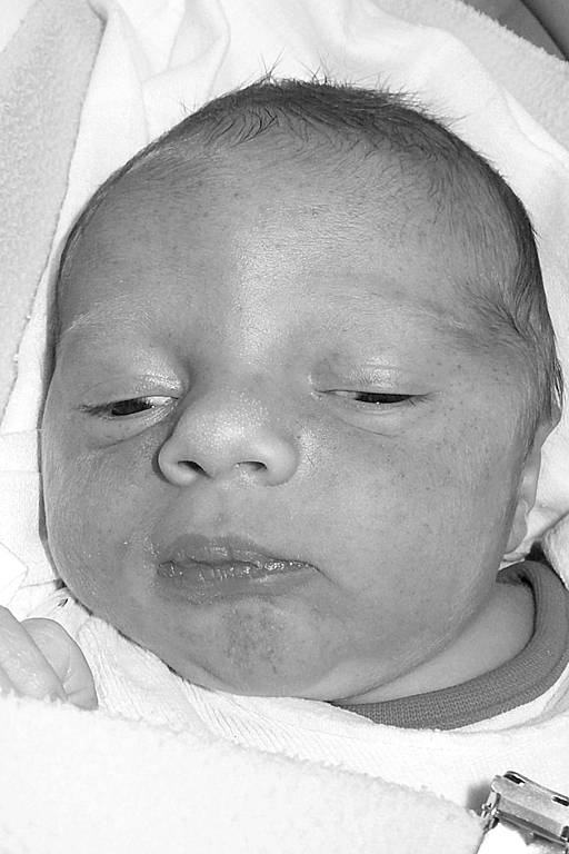 Adam Novotný, 9. 4. 2008,  51 cm, 3630 g, VFN, U Apolináře