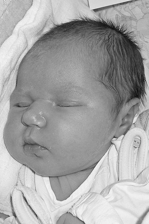 Denisa Kábelová, 7. 4. 2008, 49 cm, 3600 g, VFN, U Apolináře