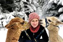 Alice Janstová a lamy alpaky