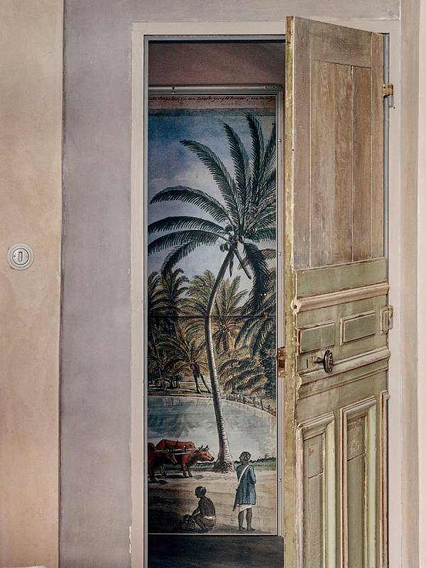 Historickou kresbu pro tapetu navrženou na míru našla Martina v knize Dutch Ceylon a nechala ji naskenovat, vytisknout a instalovat na vchodové dveře (Matrix Media)