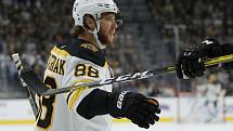 Hokejista Bostonu Bruins David Pastrňák.