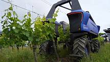Plně elektrický autonomní robot Bakus (modrý) zastane práci ve vinohradě bez řidiče. Je jednou z technologických novinek představených na jihomoravském vinohradnickém jarmarku Kázání ve vinici
