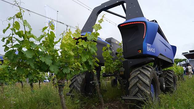 Plně elektrický autonomní robot Bakus zastane práci ve vinohradě bez řidiče. Je jednou z technologických novinek představených loni na jihomoravském vinohradnickém jarmarku Kázání ve vinici