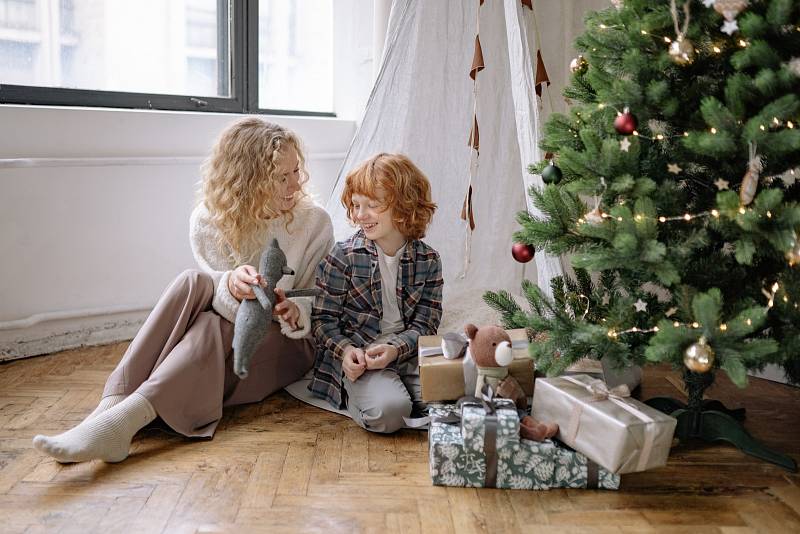 Podle průzkumu společnosti GLS chce třetina Čechů začít nakupovat vánoční dárky dříve než v předchozích letech. Nejvíce lidí plánuje začít dárky nakupovat na konci listopadu po tradiční slevové akci Black Friday. 