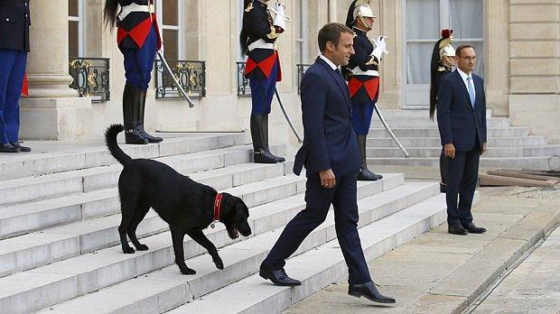 Emmanuel Macron a jeho pes Nemo