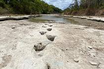 Ustupující voda v řece v texaském parku Dinosaur Valley odhalila unikátní stopy dinosaurů staré přibližně 113 milionů let.