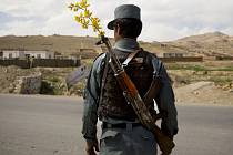 Afghánská policie si uřízla ostudu, když s velkým povykem oznámila zmaření sebevražedného útoku Talibanu, který měl být proveden novátorskou metodou – s pomocí bomby připevněné na tělo velkého ptáka. 