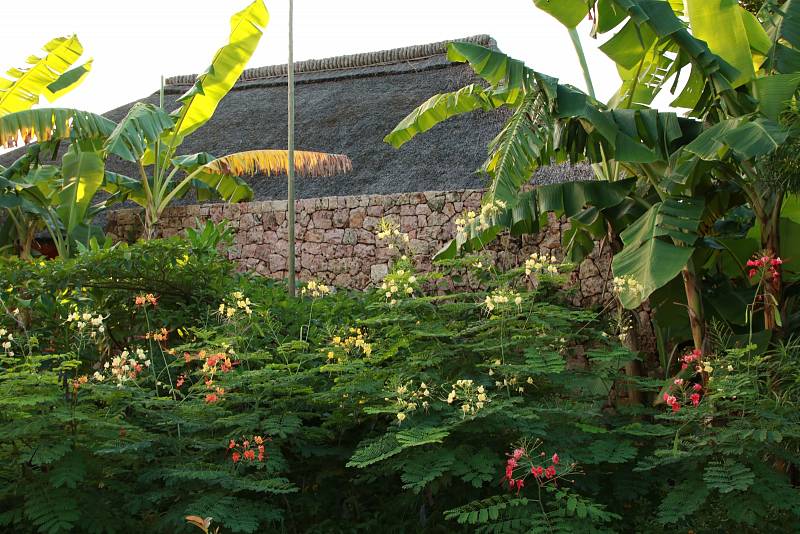Resort Zuri má charakter tropické bujné zahrady