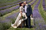 Přímo uprostřed milionů modrofialových kvítků si můžete uspořádat i svatbu.