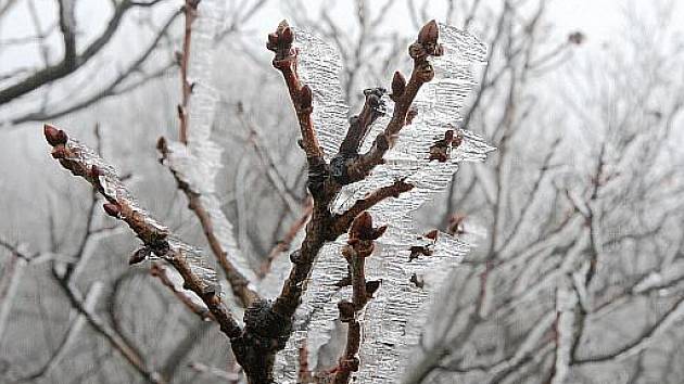 Mrazy polevily, březen slibuje až 10 stupňů Celsia - Deník.cz