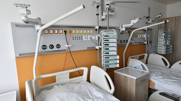 Pacientka na Vysočině má záškrt. Nemoc se v Česku objevila naposledy v roce 1995