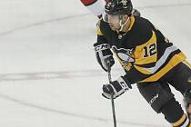 Hokejista Pittsburghu Penguins Dominik Simon.