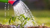 Srážkovou vodu, kterou zadržíte, nemusíte platit. Řada průzkumů navíc potvrdila, že její kvalita je naprosto dostačující pro celou škálu využití na zahradě i v domácnosti.