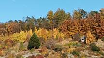 V arboretu Makču Pikču v Pasece můžete obdivovat čtyři tisíce druhů rostlin z celého světa.