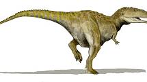 Mezi teropody, tedy tříprsté masožravé dinosaury, patřil i Mapusaurus roseae.