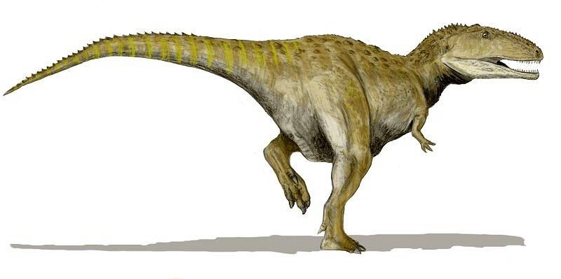 Mezi teropody, tedy tříprsté masožravé dinosaury, patřil i Mapusaurus roseae.