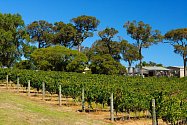 Ke zločinu došlo nedaleko populární vinařské a turistické oblasti Margaret River v západní Austrálii