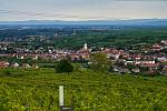 Vinařská turistika v údolí Dunaje. Světově známá oblast Wachau a sousední vinařské městečko Langelois lákají návštěvníky z Česka.