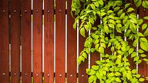 Nejenom k venkovským a rekreačním stavením se dobře hodí plot z dřevěných latí a prken.