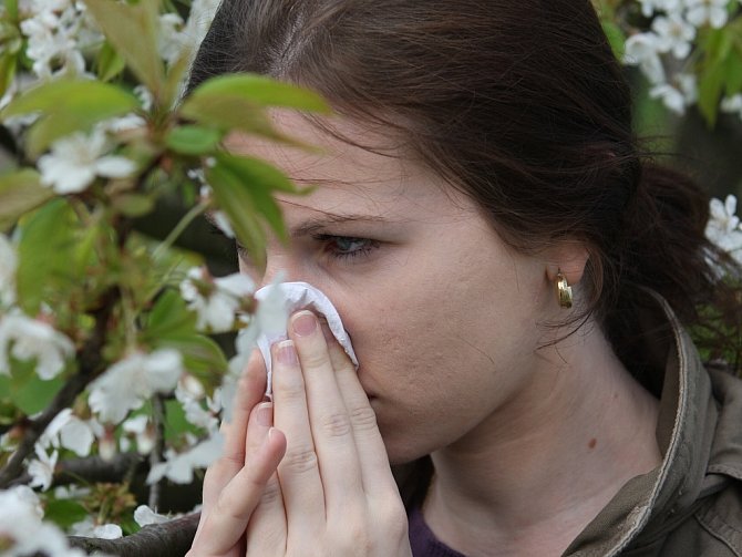 Alergie na jaře dokáže pěkně potrápit. Jak zmírnit příznaky? Deník požádal o radu odborníky