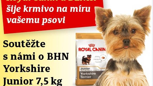 Royal canin yorkshire terrier hotsell junior 7 5 kg