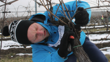 Videosouhrn Deníku – pátek 23. února 2018