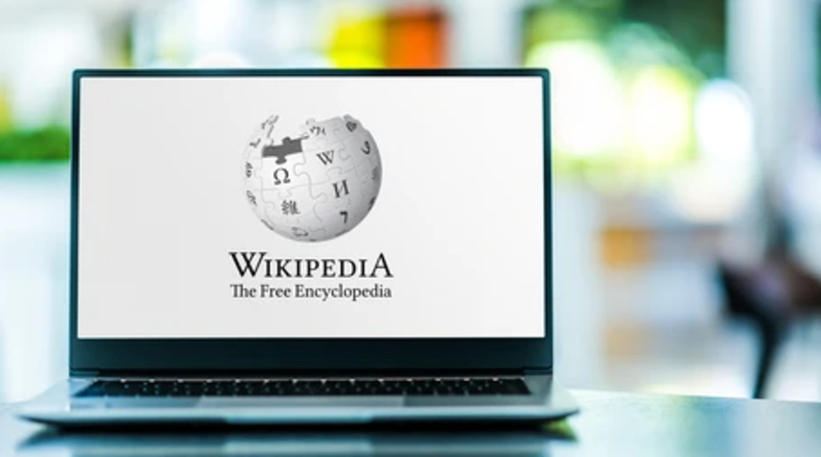 Kde nezabere babo raď, pomůže Wikipedie: Jak funguje, jak je na tom v Česku  - Slovácký deník