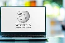 Wikipedia v Česku už funguje 20 let