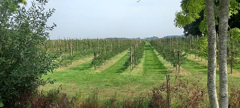 Cesta téměř holandskou krajinou podél řeky Ost k ústí Labe