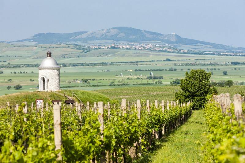Velké Bílovice jsou s více než tisícovkou místních vinařů opravdovým unikátem.