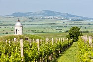 Velké Bílovice jsou s více než tisícovkou místních vinařů opravdovým unikátem.