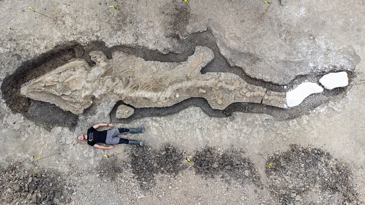 Dosud největší nalezenou fosilii ichtyosaura v Británii objevil Joe Davis. Měřítko pro snímek poskytl svým tělem paleontolog Dean Lomax