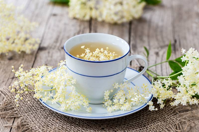 Bezový čaj pomáhá proti nachlazení.