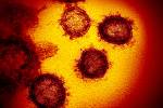 Nový koronavirus SARS-CoV-2 na nedatovaném snímku z elektronového mikroskopu, který v únoru 2020 zpřístupnil Americký Národní institut zdraví. Vzorek byl izolován od pacienta v USA. Podle popíračů tento ani jiné viry neexistují