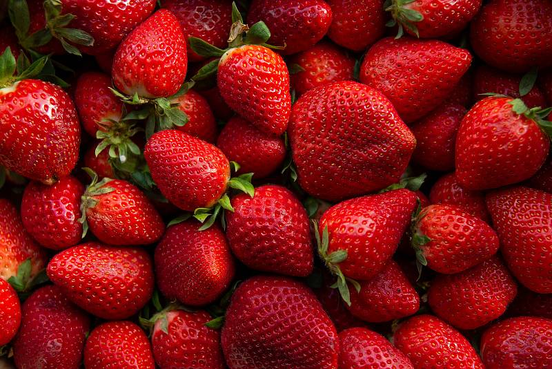 Díky své sladké svěží chuti jsou jahody jedním z nejoblíbenějších druhů ovoce.