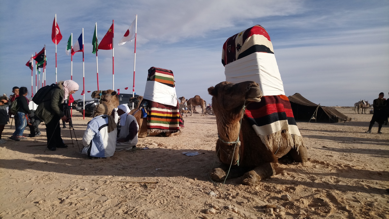 OBRAZEM: Tajemná zimní Sahara se hodlá otevřít návštěvníkům - Blanenský  deník
