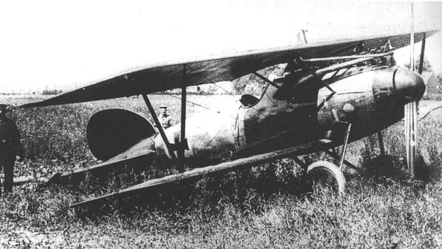 Richthofenův Albatros D.V po nuceném přistání u Werviku. Toto letadlo nemělo celorudý nátěr