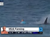 Australský surfař Fanning pocítil útok žraloka.