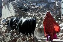 Zemětřesení zničilo v Indii více než milion domů a vyžádalo se více než 20 tisíc lidských obětí. Stovky tisíc lidí ztratily domov