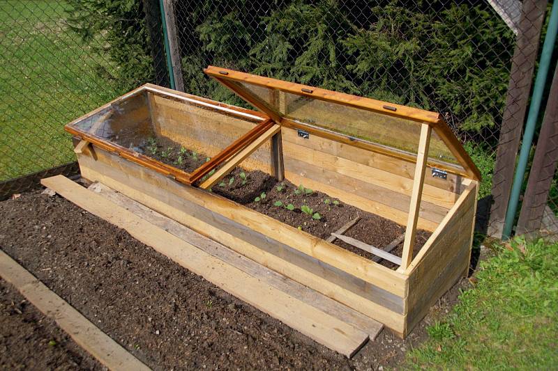 Jestliže nemáme na zahradě dost místa pro pořádný skleník, můžeme si místo něj postavit alespoň pařeniště, které ho částečně nahradí.