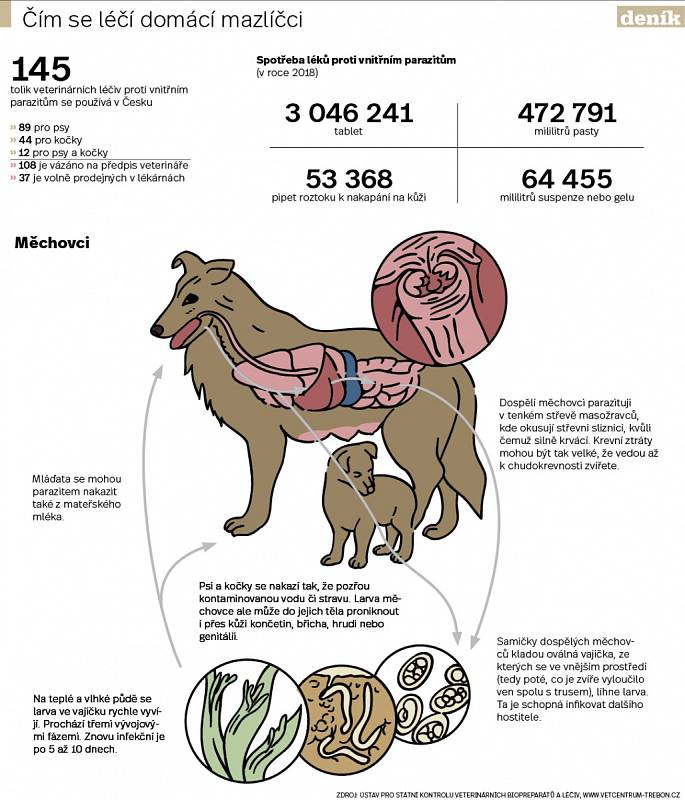 Zvířecí paraziti. Infografika