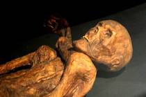 Rekonstrukce Ötziho mumie v Muzeu pravěku v Quinsonu, Alpes-de-Haute-Provence