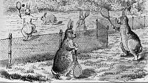 Dobová karikatura z konce 19. století naznačující, že ze stavby plotů budou mít přemnožení králíci tak akorát legraci. Další léta ukázala, že kresba nebyla daleko od pravdy.