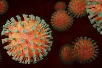 Koronavirus. Ilustrační foto