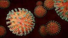 Koronavirus. Ilustrační foto