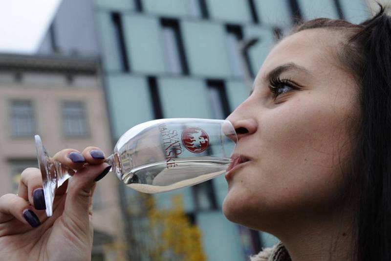 Vinaři v Česku dnes otevřeli první lahve mladého vína z letošní úrody. První z nich, obří pětilitrovou, přinesl v Brně průvod v čele s hercem Martinem Krausem z katedrály na Petrově na náměstí Svobody a herec z ní naléval lidem nejblíž pódia.