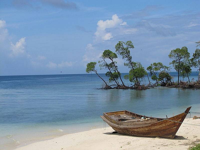 Pláž Radhanagar Beach v Indii se zařadila mezi seznam top světových pláží pro rok 2022. Turisté na ní oceňují čisté moře, krásné západy slunce i to, že je obklopená mangovníky.