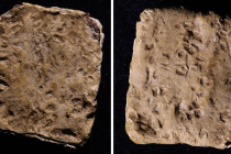 Českým vědcům se podařilo dekódovat kletbu z doby bronzové. Na snímku je vidět struktura nalezené tabulky