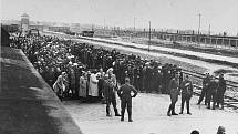 Židé z Podkarpatské Rusi, tehdejší části Maďarska, čekají na selekci na rampě v táboře Osvětim II-Birkenau
